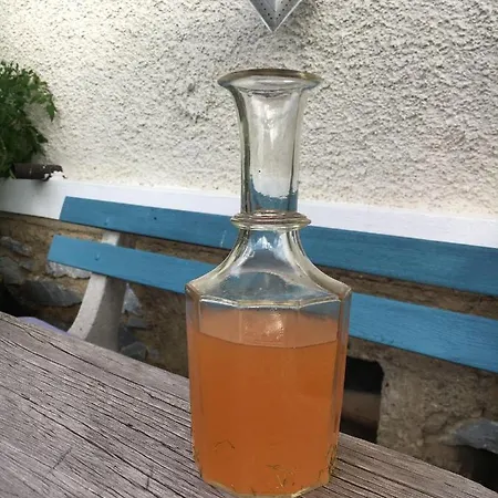 Kellerstoeckl-am-veganen-bio-lebenshof-nur-fuer-hundefreunde-empfohlen * Sulb