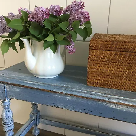 Kellerstoeckl-am-veganen-bio-lebenshof-nur-fuer-hundefreunde-empfohlen *