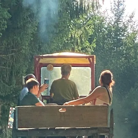 Kellerstoeckl-am-veganen-bio-lebenshof-nur-fuer-hundefreunde-empfohlen Sulb