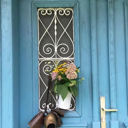 Kellerstoeckl-am-veganen-bio-lebenshof-nur-fuer-hundefreunde-empfohlen * Sulb