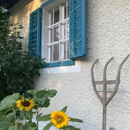 Kellerstoeckl-am-veganen-bio-lebenshof-nur-fuer-hundefreunde-empfohlen Sulb