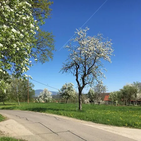 Kellerstoeckl-am-veganen-bio-lebenshof-nur-fuer-hundefreunde-empfohlen