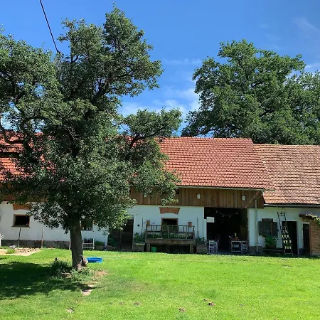 Kellerstoeckl-am-veganen-bio-lebenshof-nur-fuer-hundefreunde-empfohlen 別荘 Sulb