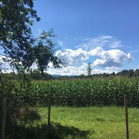 Kellerstoeckl-am-veganen-bio-lebenshof-nur-fuer-hundefreunde-empfohlen * Sulb