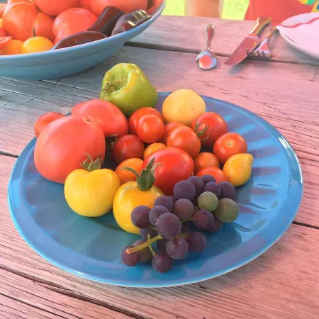 Kellerstoeckl-am-veganen-bio-lebenshof-nur-fuer-hundefreunde-empfohlen 別荘 Sulb