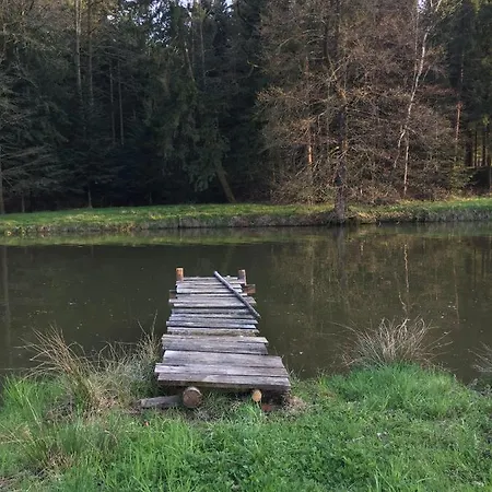 Kellerstoeckl-am-veganen-bio-lebenshof-nur-fuer-hundefreunde-empfohlen *