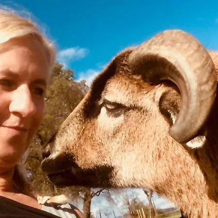 Kellerstoeckl-am-veganen-bio-lebenshof-nur-fuer-hundefreunde-empfohlen * Sulb