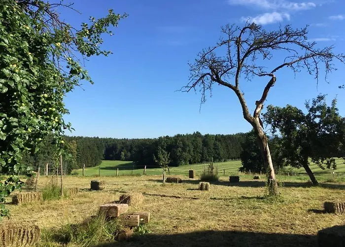 Ferienhaus Kellerstöckl Am Veganen Bio-lebenshof - Nur Für Hundefreunde Empfohlen ! Sulb