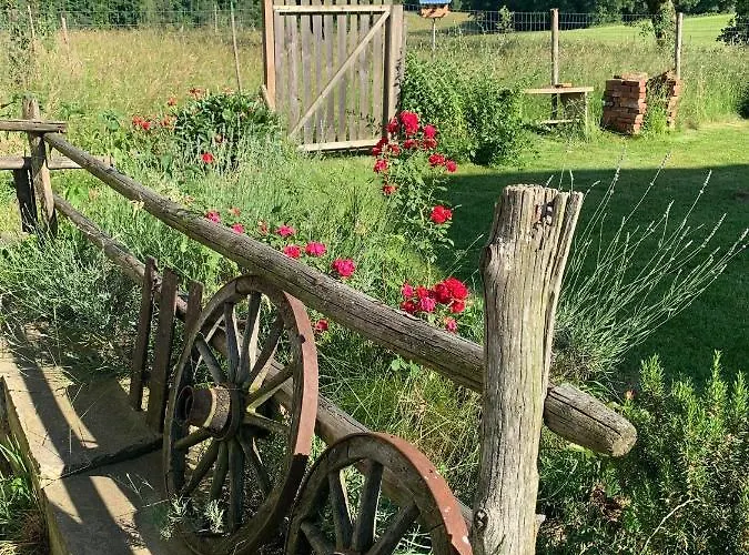 Ferienhaus Kellerstöckl Am Veganen Bio-lebenshof - Nur Für Hundefreunde Empfohlen ! Sulb