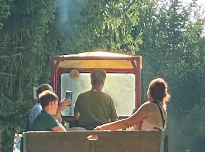 Kellerstöckl Am Veganen Bio-lebenshof - Nur Für Hundefreunde Empfohlen ! Sulb