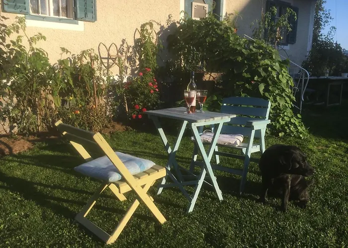 Ferienhaus Kellerstöckl Am Veganen Bio-lebenshof - Nur Für Hundefreunde Empfohlen ! Sulb