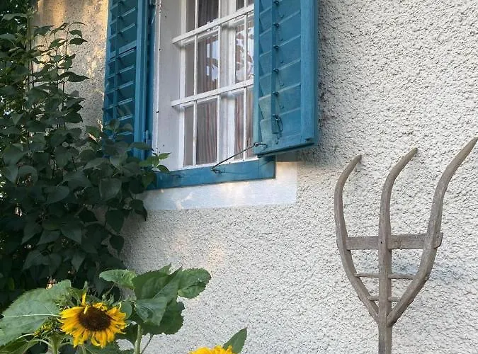 Kellerstöckl Am Veganen Bio-lebenshof - Nur Für Hundefreunde Empfohlen ! Sulb