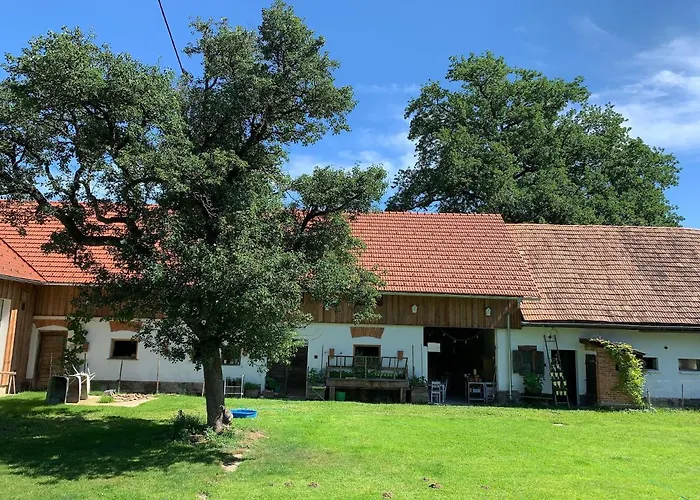 Kellerstöckl Am Veganen Bio-lebenshof - Nur Für Hundefreunde Empfohlen ! Ferienhaus Sulb