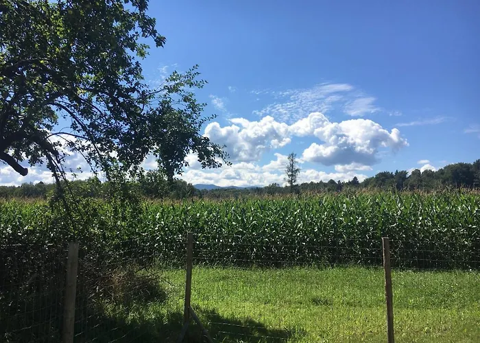 Kellerstöckl Am Veganen Bio-lebenshof - Nur Für Hundefreunde Empfohlen ! * Sulb