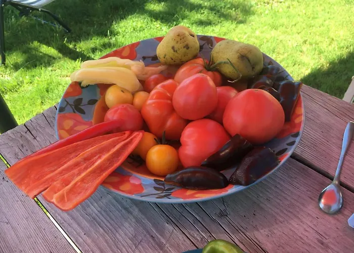 Kellerstöckl Am Veganen Bio-lebenshof - Nur Für Hundefreunde Empfohlen ! Sulb