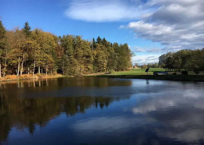 Kellerstöckl Am Veganen Bio-lebenshof - Nur Für Hundefreunde Empfohlen ! *